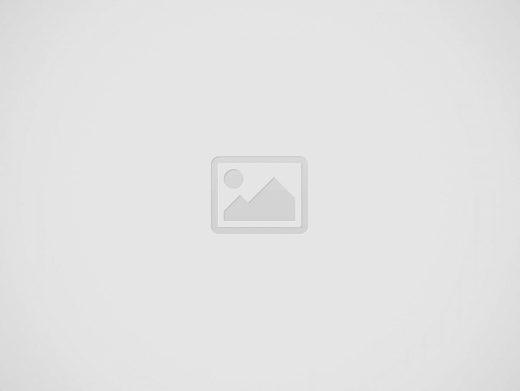 EmLe Studio Logo 2025